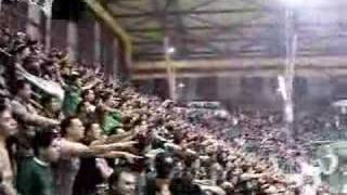 Panathinaikos fans - horto magiko