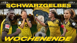 Top of the table in handball and table tennis, defeat for the women | Black & Yellow weekend