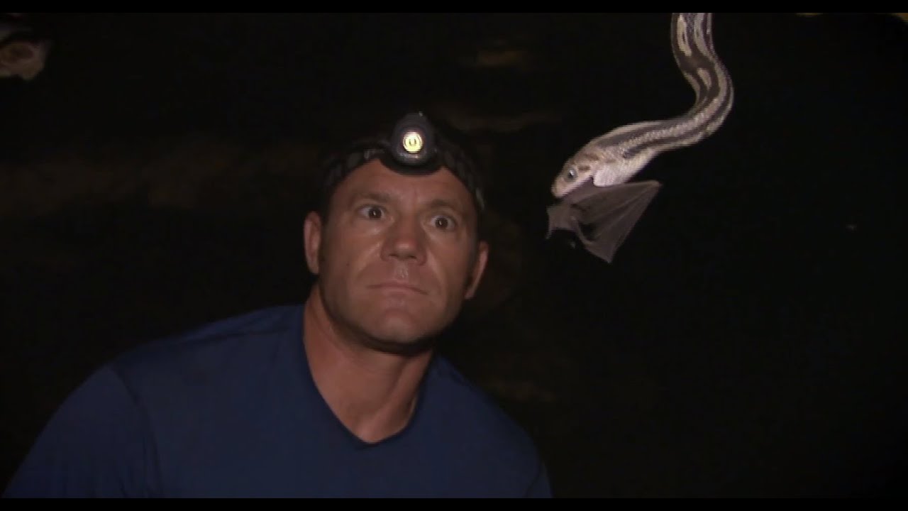 Bat-eating Snakes of Mexico! Deadly 60 Series 3 BBC