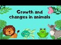 Life Cycles of Animals