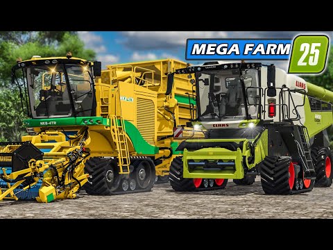 XXL Erntemaschinen im EINSATZ: Passt der ERTRAG?! 🐄 | Mega Farm #20 | Farming Simulator 25