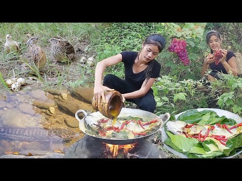 Catch big fish in river, Big fish spicy curry, Quail soup chili tasty, Mushroom cooking, Top 6 video