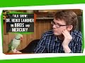 Mercury Contamination and Parakeet Biology