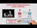 Understanding the Law of Conservation of Mass