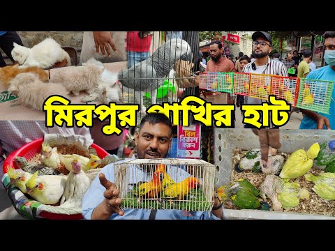 শীতে দাম কমেছে মিরপুর ১ পাখির হাট_Mirpur 1 Pakhir Haat 2024 | Pet market BD