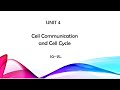 Unit 4 Review in AP Biology