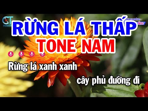 Karaoke Rừng Lá Thấp Tone Nam ( Bbm )  Nhạc Sống Đồng Sen