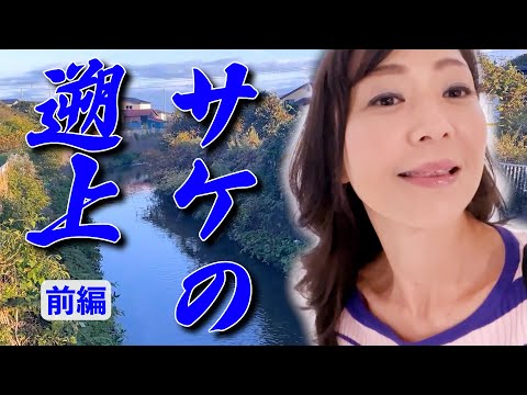 鮭はどこ？衝撃の空振り体験！【北海道】