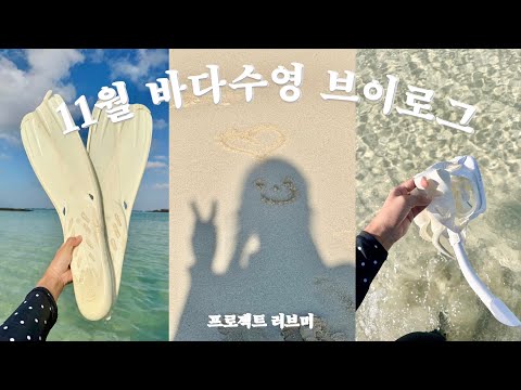 11월 바다수영 이게 되네…? | 간조에만 나오는 코난비치 락풀🐬 | 월정리 초밥 🍣 | 카멜커피 ☕️ | 호떡 만들기 | 제주 자취 일상 브이로그