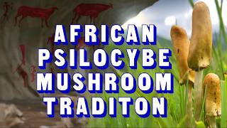 Psychedelic Mushrooms in Africa