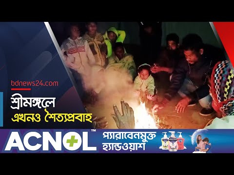 মৌলভীবাজারের শ্রীমঙ্গলে এখনও চলছে শৈত্যপ্রবাহ | Moulovibazar winter | @bdnews24