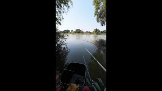 难忘的野外钓鱼经历An Unforgettable Field Fishing Experience #fishing #fish #户外捕鱼 #抓鱼 #钓鱼 #野钓 #户外钓鱼