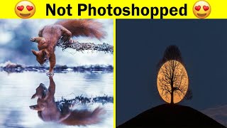 Photos that look fake but are 100% real