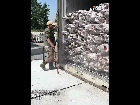 I love this video so much #shorts #funny #fails