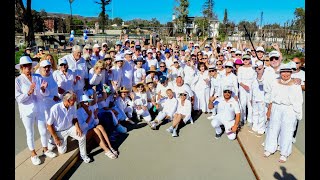 "PALISADES TOWN PARTY"