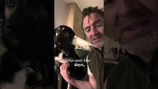 Happy St. Patrick’s Day!