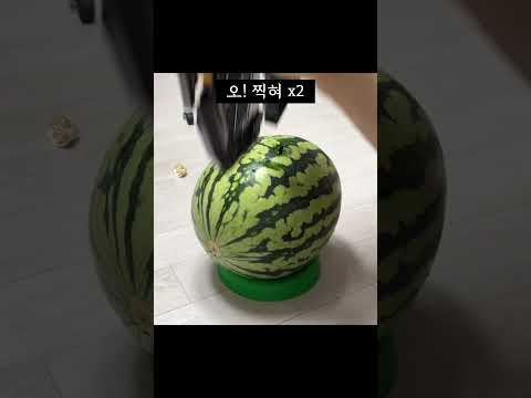 수박을 부수는 강력한 레고 무기 TOP 3