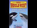 Killer Whale vs. Great White Shark: A Deep Dive