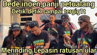 MENGERIK4N PELEPASAN RATUSAN ULAR DEDE INOEN DAN PANJI PETUALANG SAMPAI MASUK KE LUMPUR
