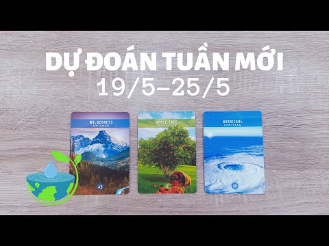 Dự đoán tuần mới 19/5-25/5☀️☂️ | Chọn tụ bài Tarot