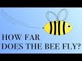 Trains and Bee Problem Analysis
