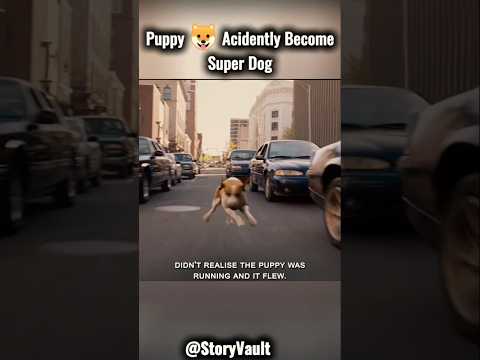 Puppy ๐ถ Accidentally become Super Dog #shorts #ytshorts #movieexplained