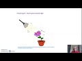 Plant Growth and Development Concepts