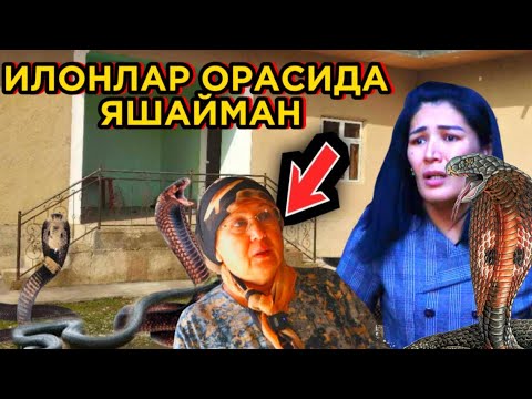 УЙИМДА 4 МEТРЛИ БЎҒМА ИЛОН БОР!!! ИЛОНЛАР ЧАҚИШИДАН ҚЎРҚИБ ЯШАЙМАН.