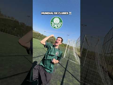 Mundial de Clubes tá pegando fogo #shorts #flamengo #psg