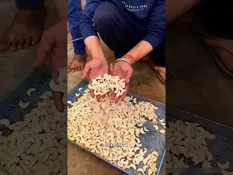 castanhas de caju falsas que enganam muita gente #shorts #curiosidades