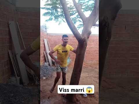 Viss marri: #comedia #funny