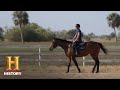 Thoroughbred Care and Transition