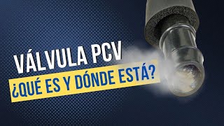 Válvula PCV  Funcionamiento, Fallas Comunes y Síntomas - PCV Tapada