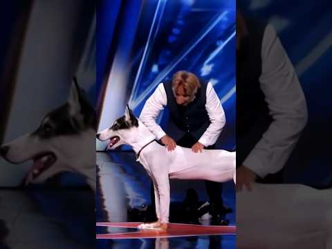 Kya Se Kya Ho Gaya 😱#trending #funny #magic #shots #shortvideo #shotsfeed #animals
