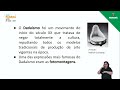 Fotomontagem e Dadaísmo: Questões Essenciais