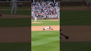 Amazing diving catch to end the cubs game!! #mlb #baseball #sports #viral
