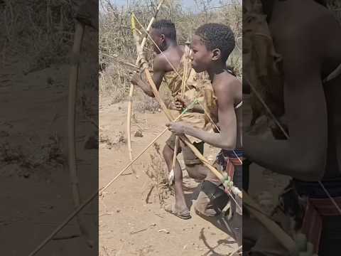 Most skilled bush hunters #tradition #bushcraft