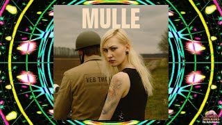 Ronni & die Rohrschächte - MULLE