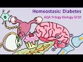 Understanding Diabetes Types and Management