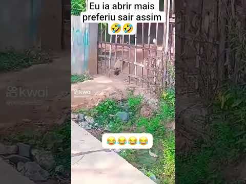 Eu prefiro abrir o portão 😂😂
