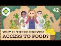 Exploring Global Food Access and Insecurity