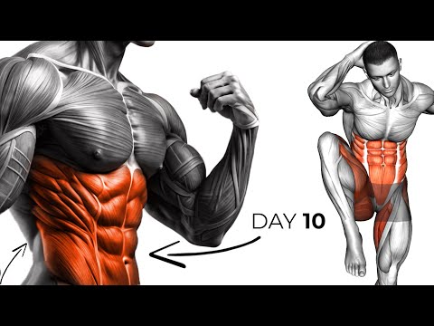 How to Lose Belly Fat In 10 Days Challenge [Workouts To Slim Down Belly Fat]