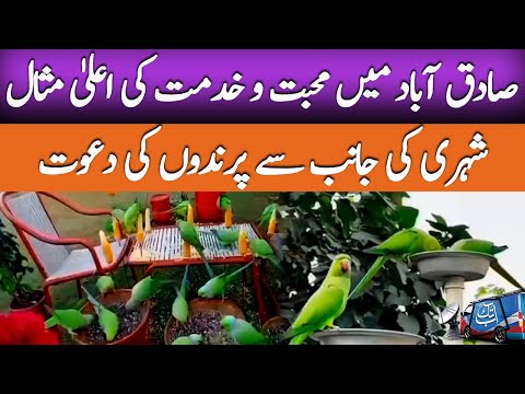 An inspiring example of love | Man's care for birds In Pakistan | Sadiqabad Latest Updates | Abbtakk