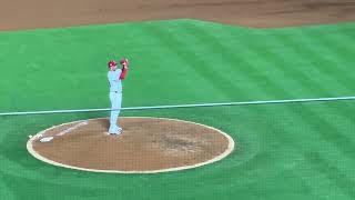 2025 REID DETMERS LIVE WALKOUT SONG! | 2025 Angels Baseball