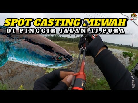 KALIAN HARUS TAU...!!! ADA SPOT KIRI KANAN DI PINGGIR JALAN TJ.PURA YANG LUAS INI...!!!