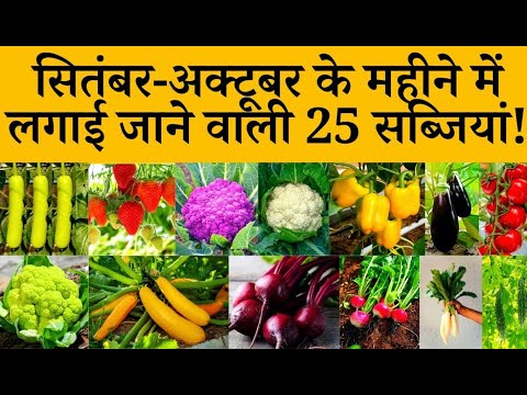 ये 25 सब्जियों को आप सितंबर के महीने में लगा सकते हैं / Vegetables To Grow In September In India