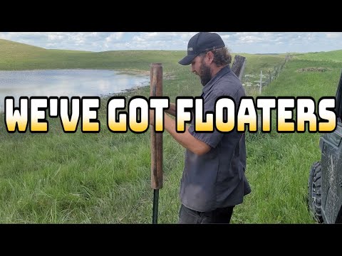 Fencing On The Family Ranch (It escalated quickly)