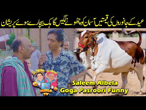 Qurbani kaJanwar lena hooa mushkal Saleem Albela and Goga Pasroori funny