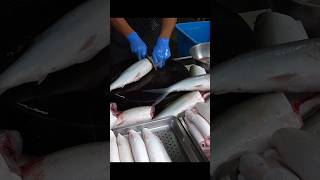 Most Satisfying Milkfish Cutting Skills in Taiwan!