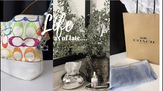 Life as of late|| She stole my package + lots of Amazon lux finds + new Coach item || Live2Shyne